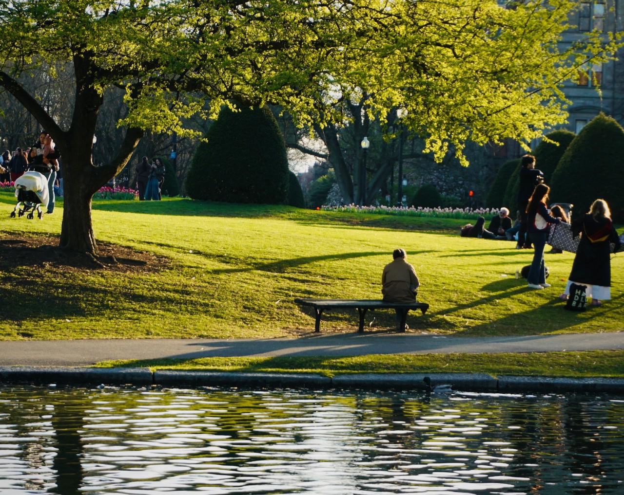 Park met mensen in de avondzon